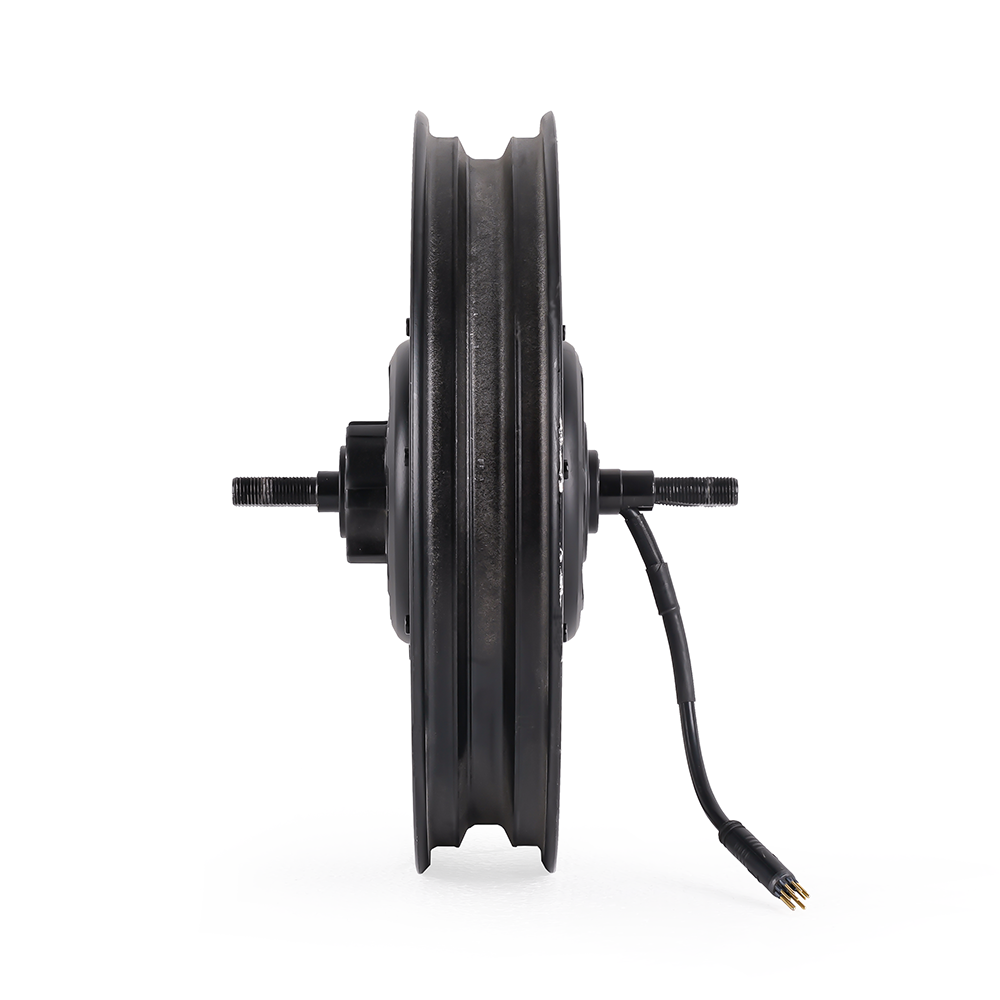 500W/350W Motor for Roadrunner