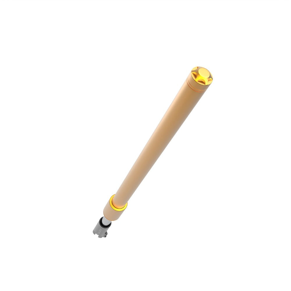 Front Suspension Fork for King GTR