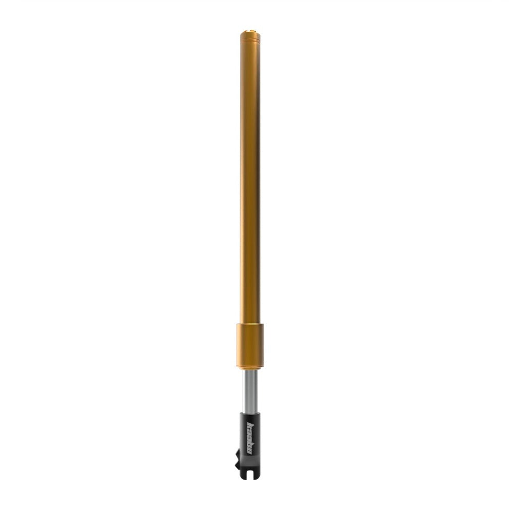 Front Suspension Fork for King GTR