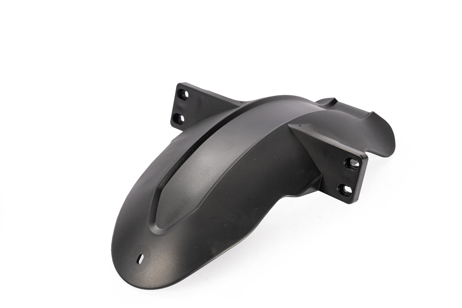 Fender for Inmotion RS