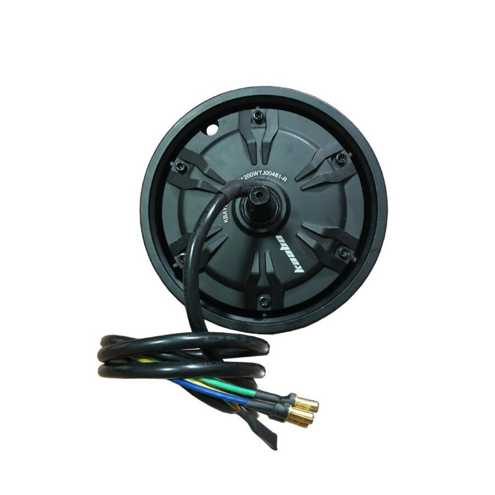 1200W Motors for Warrior GT